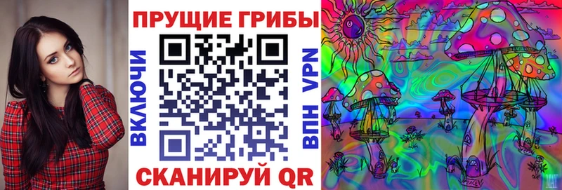 где купить   Валдай  Галлюциногенные грибы GOLDEN TEACHER 